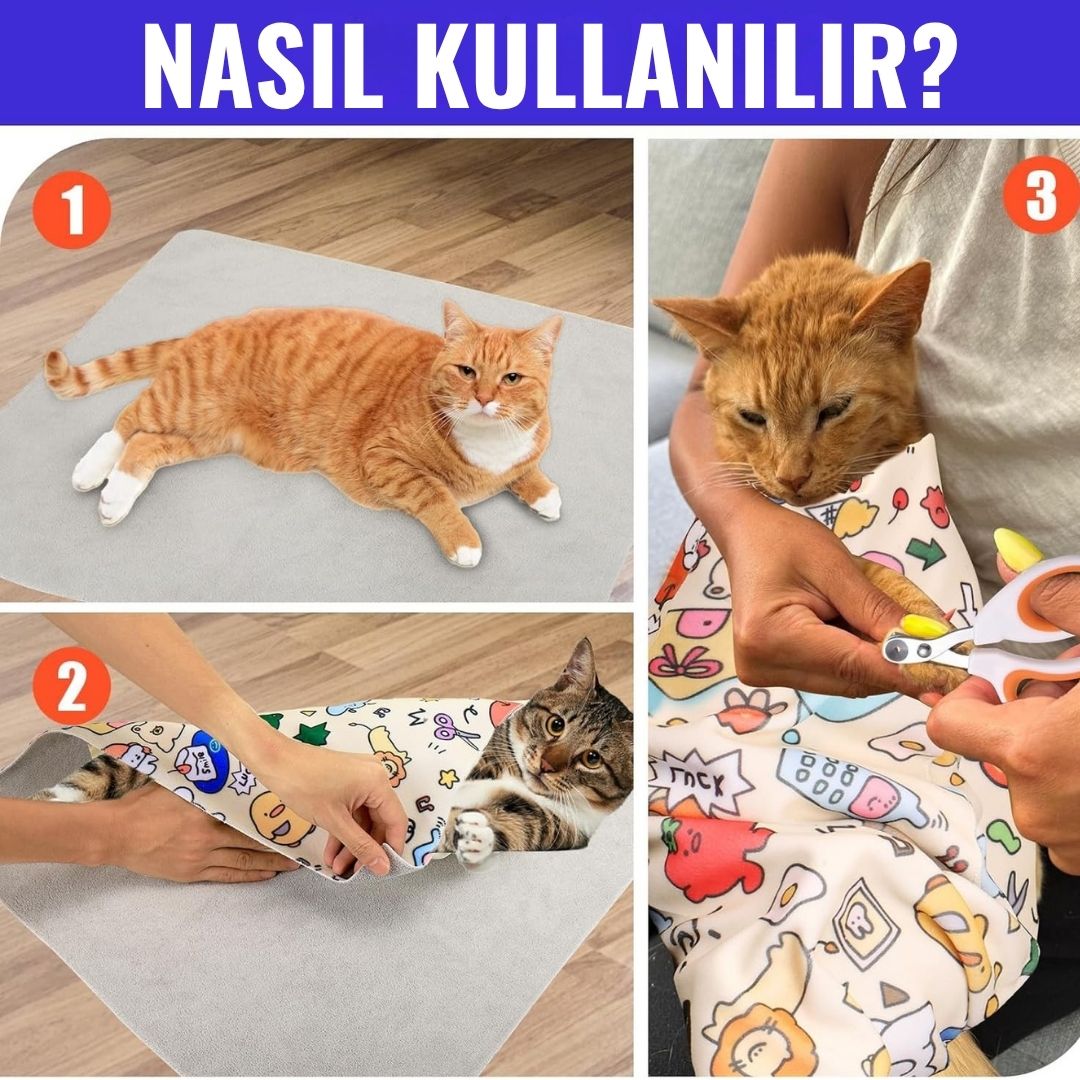 Felinoir - Kedi Battaniyesi