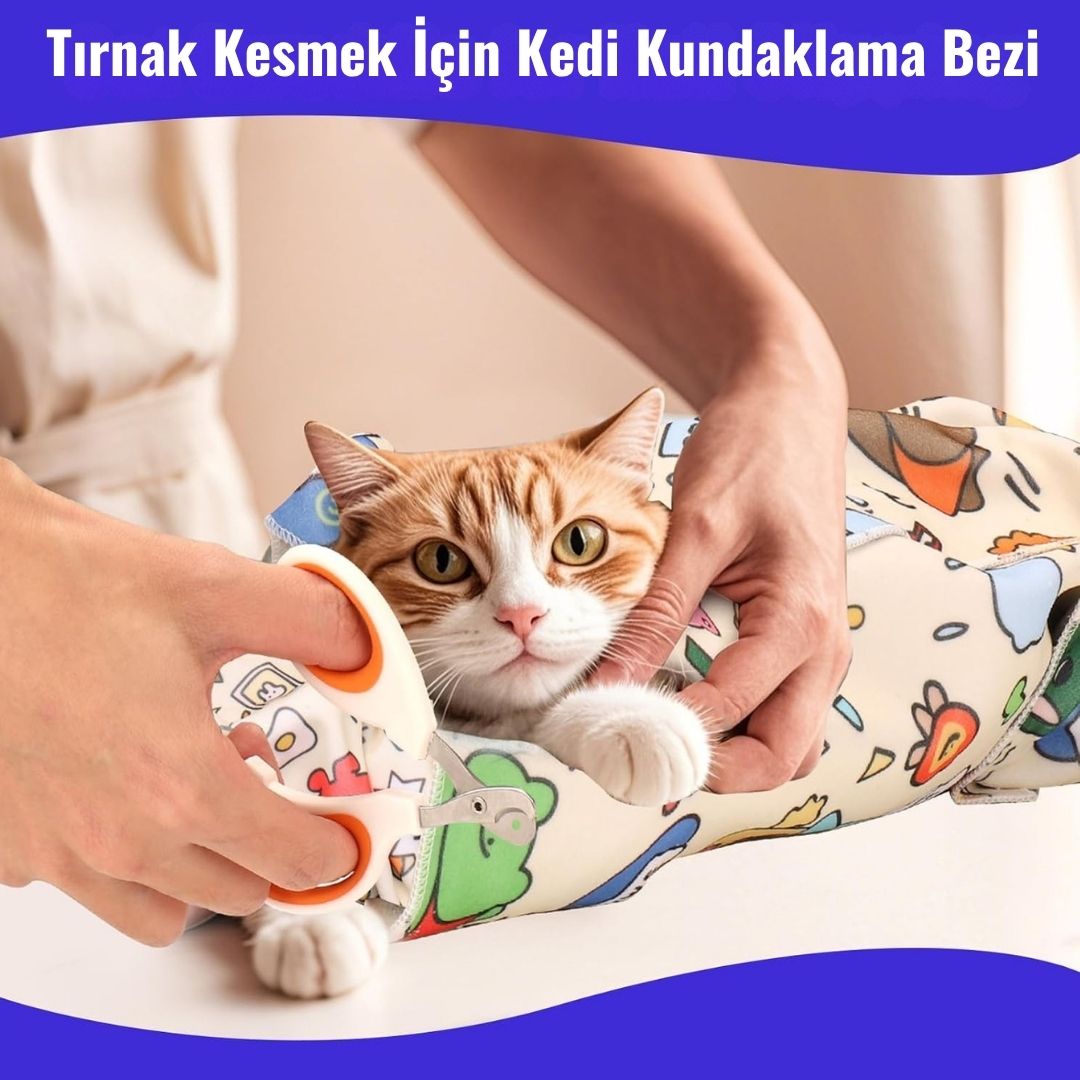 Felinoir - Kedi Battaniyesi